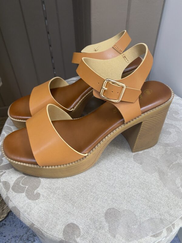 Tacon camel - Imagen 2