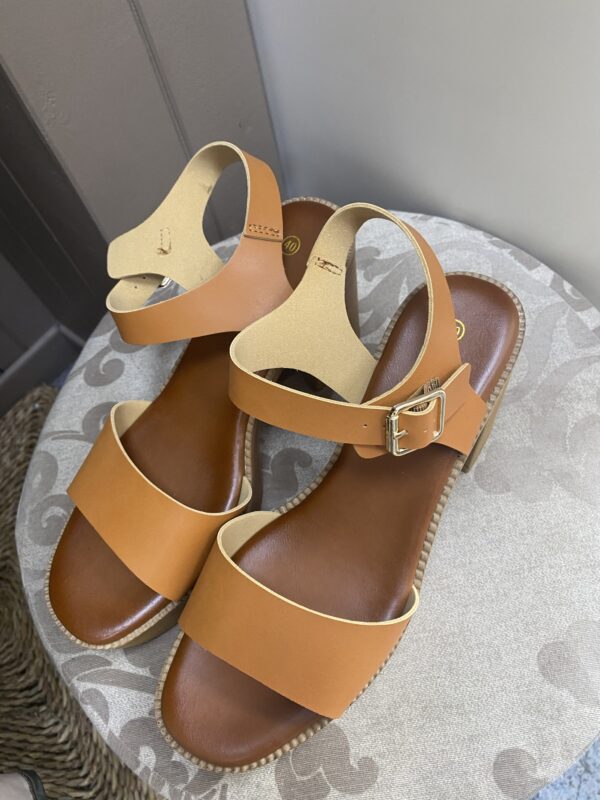 Tacon camel